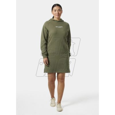 5. Helly Hansen Core Hoodie Dress W 54079 421