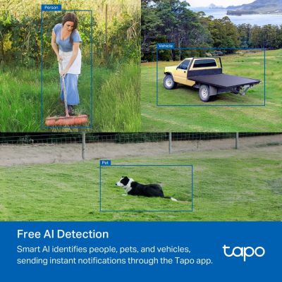 25. TP-LINK Tapo C501GW Camera