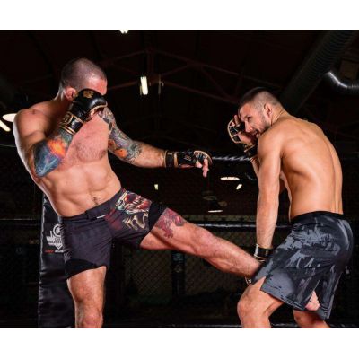 33. MMAsparring gloves M - Aureos - Valor Series