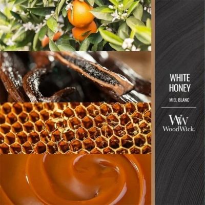 Medium candle WHITE HONEY WOODWICK