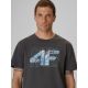 4. Men's regular printed T-shirt 4F 4FRSS26TTSHM4295-22S