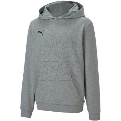 3. Puma teamGOAL 23 Casuals Hoody Jr 656711 33