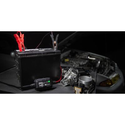 2. GENIUS2EU 2A Battery Charger