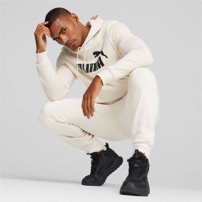 4. Puma ESS Big Logo Hoodie FL (s) Evening M 586687 87
