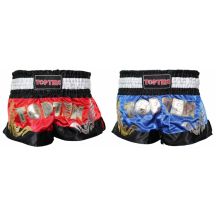 Kickboxing shorts "TOP TEN"
