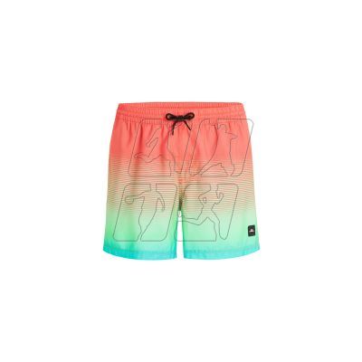 O&#39;Neill Jack Cali Gradient 15&#39;&#39; Swim Shorts M 92800613575