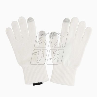 2. Gloves Icepeak Hillboro Knit Gloves 458858-618