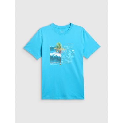 5. Men's regular printed T-shirt 4F 4FRSS26TTSHM4303-33S
