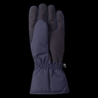 Men's RAMFI Insulated Gloves