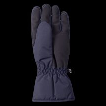 Men's RAMFI Insulated Gloves