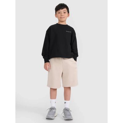 Boys' sweatpants 4F 4FJRSS25TSHOM684-83S