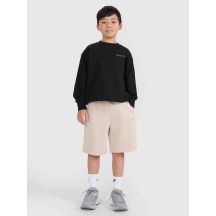 Boys' sweatpants 4F 4FJRSS25TSHOM684-83S