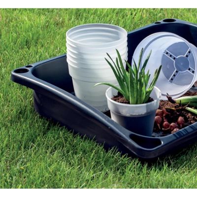 2. PLANTI POT TRANSPARENT 12CM