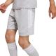 12. adidas Tiro 26 League Kids Shorts Gray KA8815