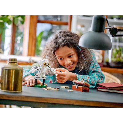 8. LEGO Harry Potter 76425 Hedwig Visits 4 Privet Drive