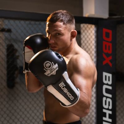 3. 10oz Boxing Gloves - Phantom White - Valor Series