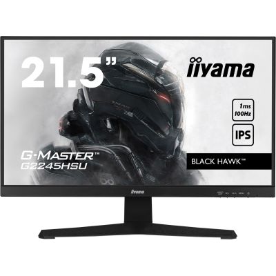 2. Iiyama 22 G2245HSU-B2 HDMI DP USB Monitor - Flat Screen - 54.6 cm