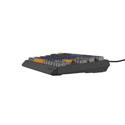 17. GENESIS THOR 230 TKL Gaming Keyboard USB + RF Wireless + Bluetooth QWERTY Black, Blue, Gray, Orange
