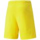 2. Puma teamRISE Cyber M 704942 07 shorts