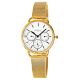 Pacific Chronograph X6180-3 Women's Watch