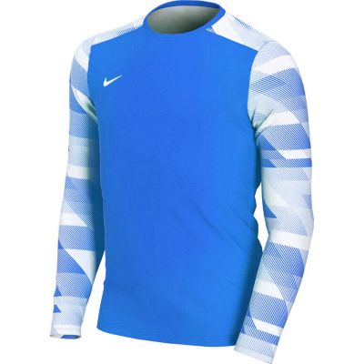 7. Nike Dry Park IV JSY LS GK Jr CJ6072-463