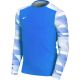 7. T-shirt Nike Dry Park IV JSY LS GK Jr CJ6072-463