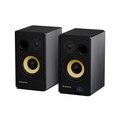 4. GENESIS ARSEN 502BT 2-Way Black Wired and Wireless 60W