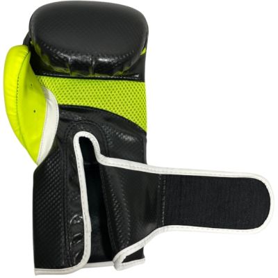 6. MASTERS RPU-PRO Boxing Gloves 10 oz