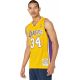 2. Mitchell &amp; Ness Los Angeles Lakers NBA Swingman Home Jersey Lakers 99 Shaquille O`Neal SMJYGS18179-LALLTGD99SON