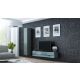 2. TV cabinet VIGO NEW '140' 30/140/40 gray/gray combination