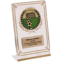 Plastic trophy - transparent - gold with space for a 50mm sticker and a 50mmX20mm TM plaque