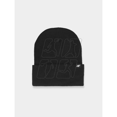 Winter hat 4F 4FWAW24ACAPU512-20S