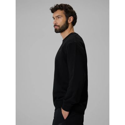 5. Men's regular sweatshirt without hood 4F 4FRMM00TSWSM3059-20S