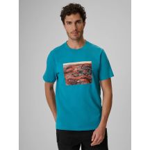Men's regular printed T-shirt 4F 4FRSS26TTSHM4238-35S