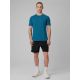 6. Men's quick-drying regular training T-shirt 4F 4FRSS26TFTSM2441-30S