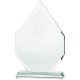 6. 3D engraved glass trophy with case