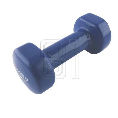 19. 3kg vinyl weight HMS 17023 17-47-005
