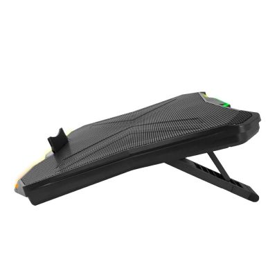 13. ESPERANZA RGB GAMING COOLING PAD XALOK EGC110