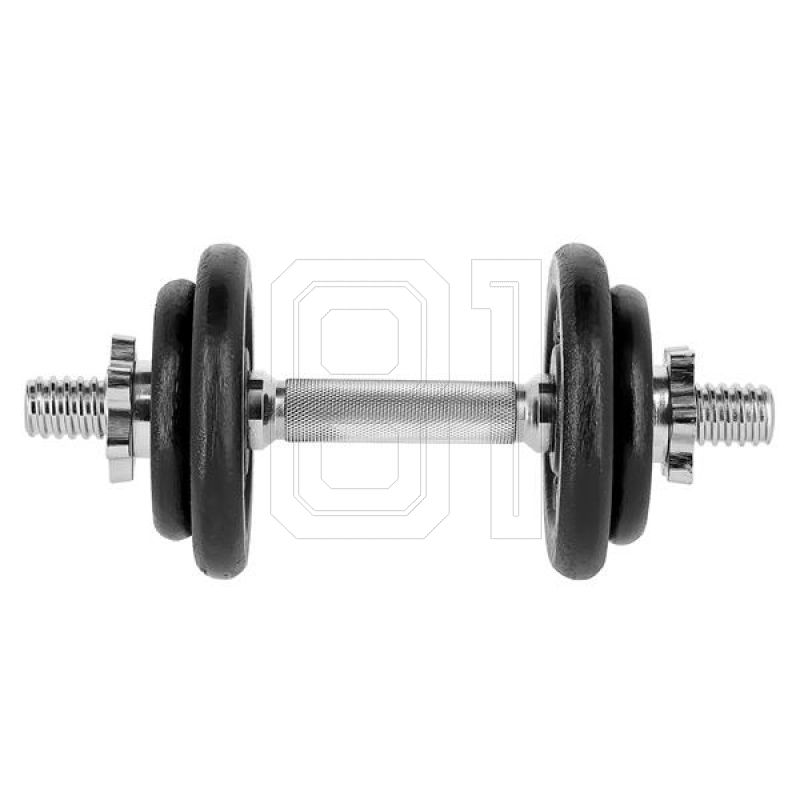 17. Dumbbells in a case HMS ST20 2 x 10kg 17-59-101