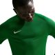 12. Men's Nike Dri-Fit Park VIII T-shirt green HV8173 302