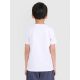 2. Boy's regular plain T-shirt 4F 4FJRMM00TTSHM3254-10S