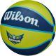 8. WILSON WNBA TEAM TRIBUTE BASKETBALL BSKT DAL WINGS YEAR 6