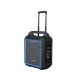 Blaupunkt MB10 portable speaker (black)