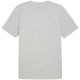6. Puma Graphics Summer Sports Tee II M 627909 04