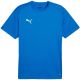 Men's Puma TeamGoal Jersey blue 658636 02