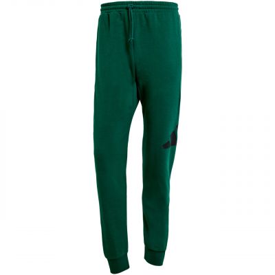 adidas Essentials Big Logo French Terry Pants M JE8971