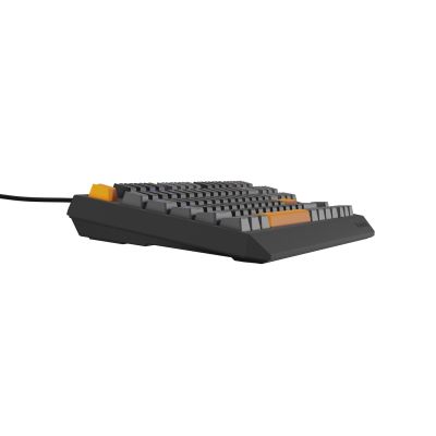 9. GENESIS Thor 230 TKL Gaming Keyboard USB + RF Wireless + Bluetooth QWERTY Black, Gray, Orange