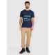 6. Men's regular printed T-shirt 4F 4FRAW25TTSHM3378-31S