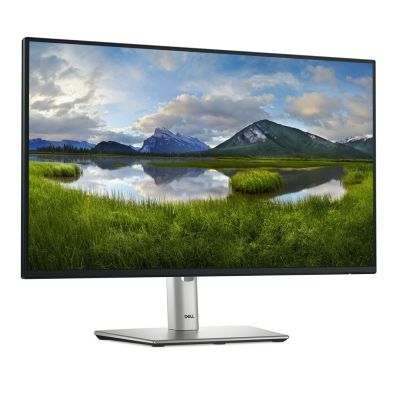 3. DELL LED MONITOR 24" P2425HE