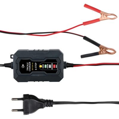 3. DUNLOP BATTERY CHARGER 6/12V